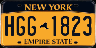 NY license plate HGG1823
