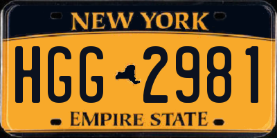 NY license plate HGG2981