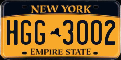 NY license plate HGG3002