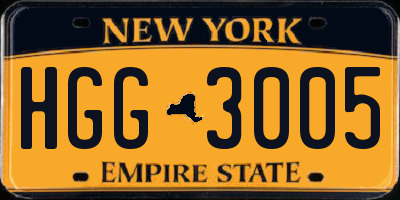 NY license plate HGG3005