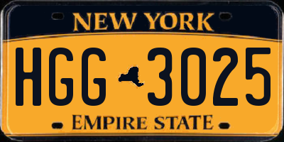 NY license plate HGG3025