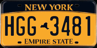 NY license plate HGG3481