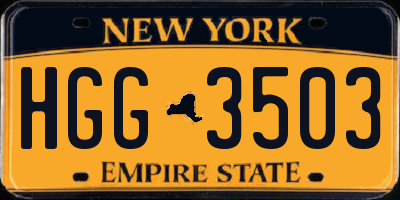 NY license plate HGG3503