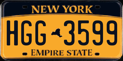 NY license plate HGG3599