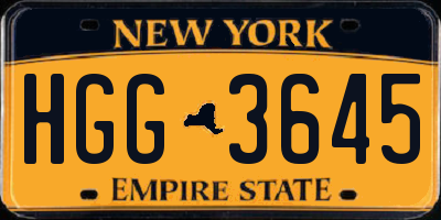 NY license plate HGG3645