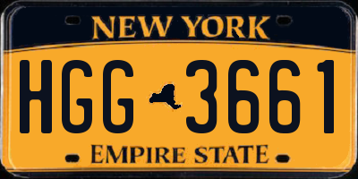 NY license plate HGG3661