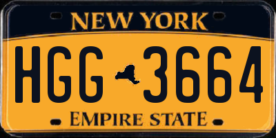 NY license plate HGG3664