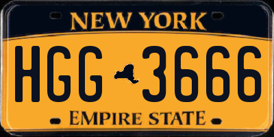 NY license plate HGG3666