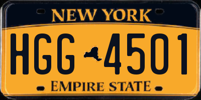 NY license plate HGG4501