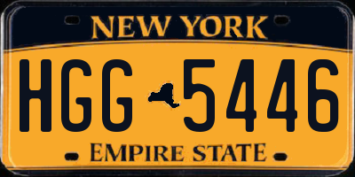 NY license plate HGG5446