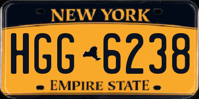 NY license plate HGG6238