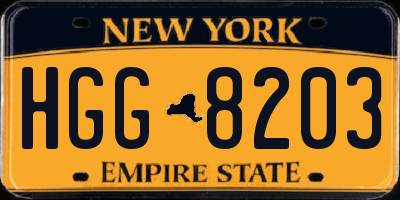 NY license plate HGG8203