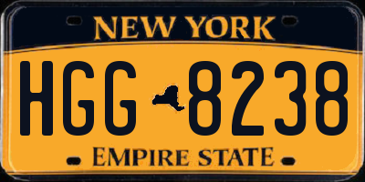 NY license plate HGG8238