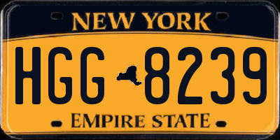 NY license plate HGG8239