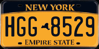 NY license plate HGG8529