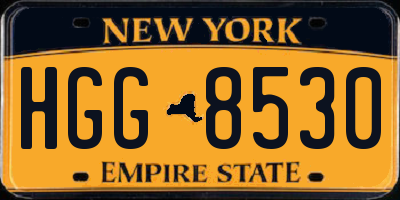 NY license plate HGG8530