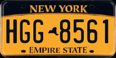NY license plate HGG8561