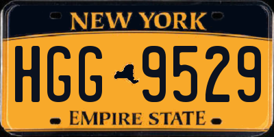 NY license plate HGG9529