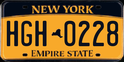 NY license plate HGH0228