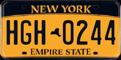 NY license plate HGH0244
