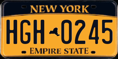 NY license plate HGH0245