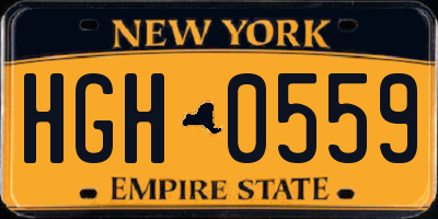 NY license plate HGH0559
