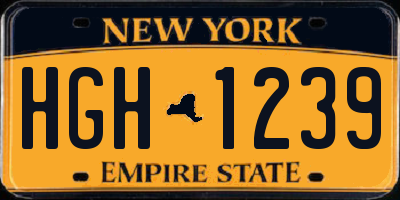 NY license plate HGH1239