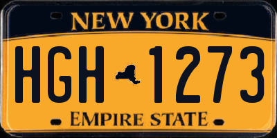 NY license plate HGH1273