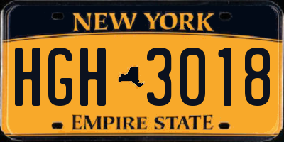NY license plate HGH3018