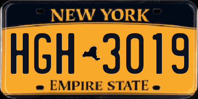 NY license plate HGH3019