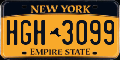 NY license plate HGH3099