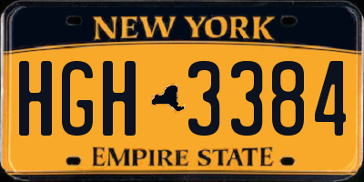 NY license plate HGH3384