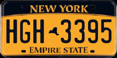 NY license plate HGH3395