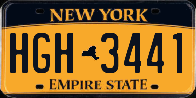 NY license plate HGH3441