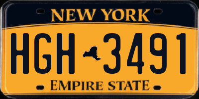 NY license plate HGH3491