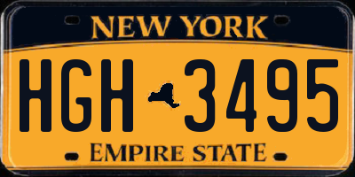 NY license plate HGH3495