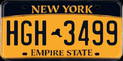 NY license plate HGH3499