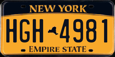 NY license plate HGH4981