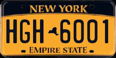 NY license plate HGH6001