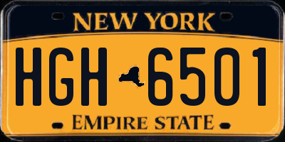 NY license plate HGH6501