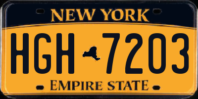 NY license plate HGH7203