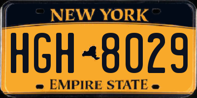 NY license plate HGH8029