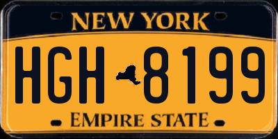 NY license plate HGH8199