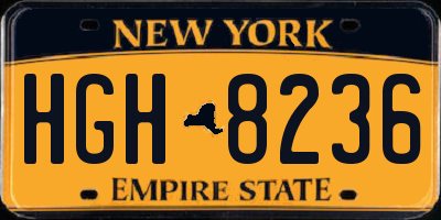 NY license plate HGH8236