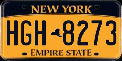 NY license plate HGH8273