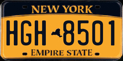 NY license plate HGH8501