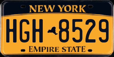 NY license plate HGH8529