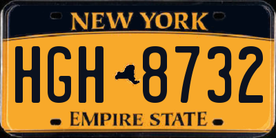 NY license plate HGH8732