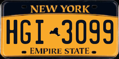 NY license plate HGI3099