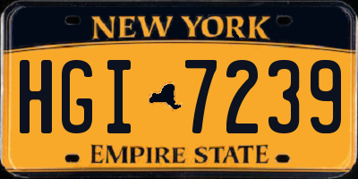 NY license plate HGI7239